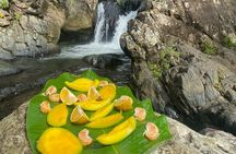 Half-Day El Yunque and Waterslides Adventure from Fajardo
