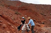 6-hour private hike to discover Berber villages