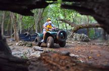 Express Jungle ATV and Beach Break