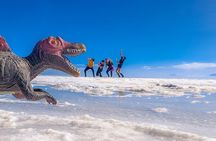 Uyuni Salt Flats _ Full Day _ English Speaking Guide