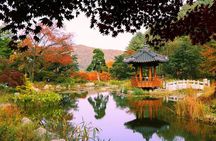 Easy private tour to Nami Island, Garden of Morning Calm