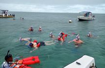 Hol Chan, Shark Ray Full-Day Snorkeling Tour From San Pedro Belize