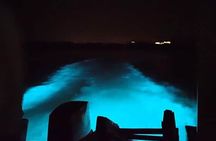 Private Luminous Blue Lagoon Night Tour in Falmouth
