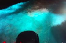 Private Luminous Blue Lagoon Night Tour in Falmouth