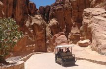 Petra Highlights Guided Golf Cart Tour with Hotel Pickup