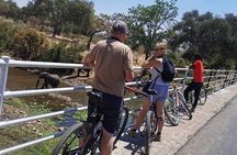 Nature and Falls Tours