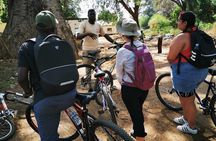 Nature and Falls Tours