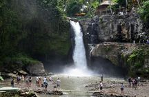 Best of Ubud’s Highlights Full-Day Tour