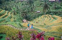 Best of Ubud’s Highlights Full-Day Tour