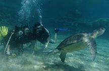 SCUBA DIVING first time experience