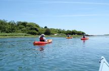 SUP Rental in Cape Porpoise Harbor