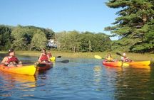 SUP Rental in Cape Porpoise Harbor