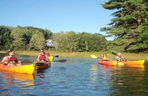 SUP Rental in Biddeford Pool