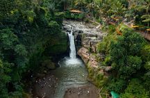 Full Day Private Guided Tour to Bali