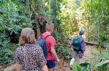 Khao Yai National Park Full Day