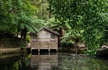 Dandenong Ranges Private Day Tour