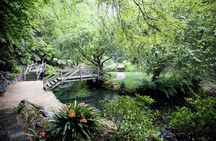 Dandenong Ranges Private Day Tour