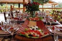Half-Day Wine and Food Tasting from Dubrovnik