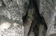 Tailormade 15 Days Adventure from Antananarivo, Madagascar