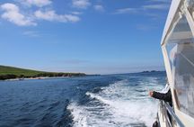 Dingle Dolphin Blasket Adventures