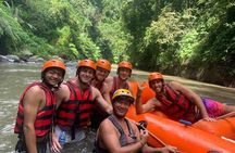Ubud Green Rafting Ticket And Transfer