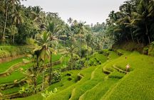 Full-Day Private Guided Exploring Bali as You Wish Tour