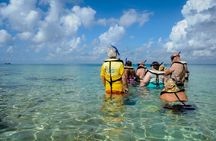 2 Hour Diving in Sunset Restaurant and Coral Gardens with Lunch