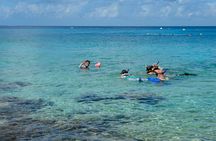 2 Hour Diving in Sunset Restaurant and Coral Gardens with Lunch