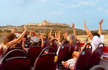 1-Day Hop-On Hop-Off Bus + Harbour Cruise Ticket