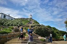 Best of the Cape Full Day Private Tour