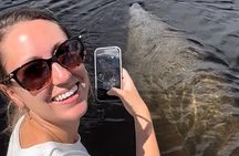 Manatee, Dolphin and 10,000 Islands Sunset Cruise!