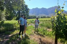 Stellenbosch Hike & Wine Tasting