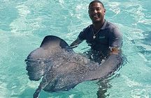 Full-Day Private Stingray City Snorkeling and Starfish Beach Tour