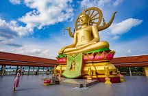 Private Group City Tour Around Koh Samui