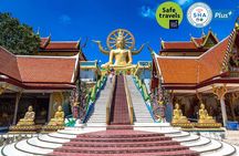 Private Group City Tour Around Koh Samui