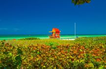 Miami Beach Art Deco & Hidden Gems Bike Tour