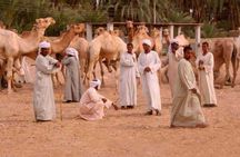 Private Daraw Camel Market Half-Day Tour from Aswan