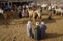 Private Daraw Camel Market Half-Day Tour from Aswan