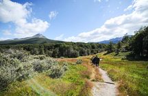 Half-Day Tierra del Fuego National Park with Lunch and Drinks