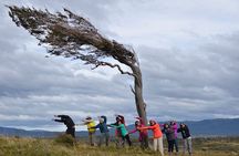 Canoeing Adventure on the Beagle Channel and Penguin Colony
