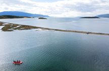 Full-Day Gable Island Eco-Adventure in the Beagle Channel