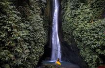 West North Bali trip
