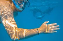 Full-Day Special Wasini Island Tour with Snorkeling and Lunch