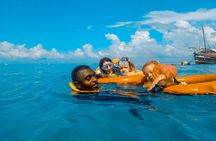 Full-Day Special Wasini Island Tour with Snorkeling and Lunch