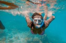 Full-Day Special Wasini Island Tour with Snorkeling and Lunch