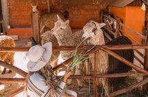 The Ultimate Full Day Sacred Valley Tour