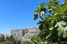 Secret Split: Socialist Architecture & brutalism - Urban Utopia