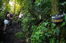 Arenal Volcano National Park Guided Hike from Arenal
