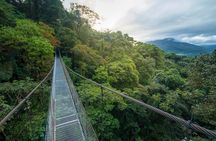 Arenal Hanging Bridges From Arenal