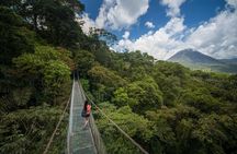 Arenal Hanging Bridges From Arenal